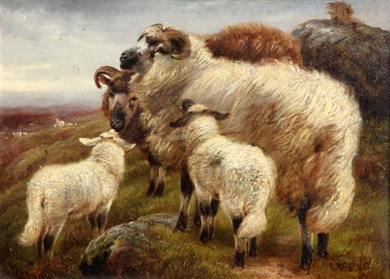 Robert Watson (fl.1877-1920) Highland cattle and sheep in landscapes 9.5 x 13.5in.